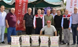 İzmir'de ayçiçeği üreticilerine yerli tohum desteği