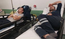 "Magnolya tatlısı" yüzlerce işçiyi zehirledi!