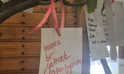 Üniversiteli gençlerin 'Umut' ağacında umutsuzluk...