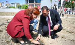 Bornova'da 52 kadın tohumlarla üretim yapıyor