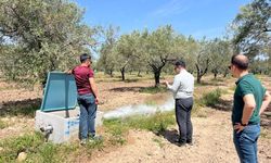 Öveçli Projesi ile 2 bin 500 dekar arazi suya kavuşacak