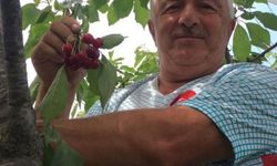 Elektrik akımına kapıldı, hayatını kaybetti
