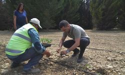 Başkan Günel’in projeleri sofralara bereket katıyor