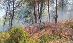 Adana’da orman yangını kontrol altına alındı