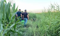 Adana’da sazlıklar arasında bir kişi ölü bulundu