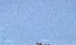 Adana’da yangın söndürme uçağı düştü