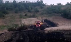 Alevler tarlayı sardı, ekipler eve sıçramasını önledi
