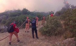Alevlerin içinde hayatta kalma mücadelesi
