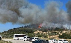 Aliağa’da bir orman yangını daha