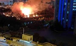 Ankara’daki arazi yangını söndürüldü