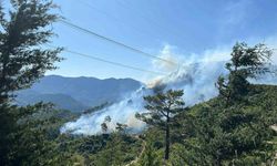 Antalya’da 2 ilçede orman yangını