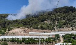 Antalya’da orman yangını
