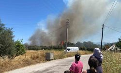 Antalya’da ormanlık alanda yangın