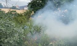 Arazide çıkan yangın yerleşim yerine sıçramadan söndürüldü