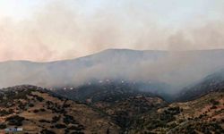 Aydın Efeler’deki yangına ekiplerin müdahalesi sürüyor
