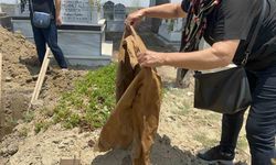 Baba ve kızları yan yana defnedildi