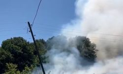 Bahçede çıkan yangın ormana sıçradı