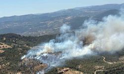 Balıkesir’de araziden ormana sıçrayan yangına müdahale sürüyor