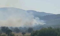 Balıkesir’de meralık alanda yangın