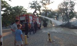Balıkesir’de ot yangınını tüplerle söndürdüler