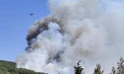 Balıkesir’deki orman yangınına müdahale ediliyor