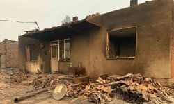 Bilecik’teki orman yangınında bir köy kül oldu