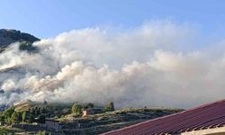 Bingöl’de ağaçlık alanda yangın