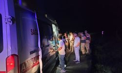 Bingöl’de trafik kazası: 4 yaralı