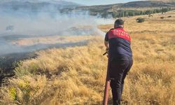 Bitlis’te iki ayrı noktada örtü yangını