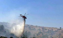 Bodrum Türkbükü yangını ile ilgili bir gözaltı