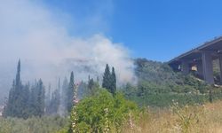 Bursa’da çam ormanı yanıyor