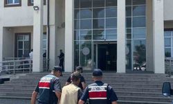 Çanakkale’de arazide 77 kök kenevir ele geçirildi: 1 tutuklama