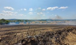 Çanakkale’de tarım arazisinde yangın