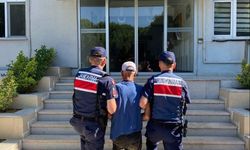 Çanakkale’de yangına neden olan biçerdöver operatörü hakkında adli işlem başlatıldı