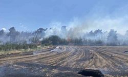 Çanakkale’deki orman yangını kontrol altına alındı