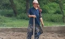 Çankırı’da kene can aldı