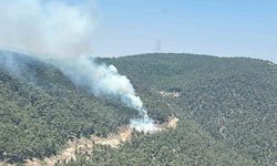 Ekipler orman yangını için seferber oldu... Havadan karadan müdahale