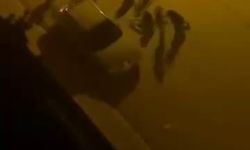 Elazığ’da bıçaklı kavga: 1 yaralı
