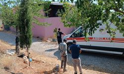 Eşini silahla vurarak öldürdü