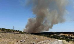Ezine’de tarım arazisinde başlayan yangın ormanlık alana sıçradı