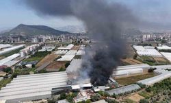 Fide üretim merkezi alev alev yandı çalışanlar gözyaşlarına boğuldu