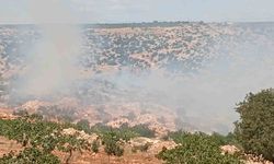 Gaziantep’te fıstık ve zeytin bahçelerinde yangın