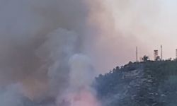 Gazipaşa’daki orman yangınında gözetleme kulesindeki personelin zor anları kamerada
