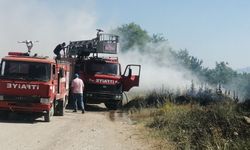 Gelendost’ta göl kenarında çıkan yangında 200 dönüm alan zarar gördü