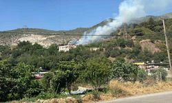 Hatay’da ormanlık alanda çıkan yangın söndürüldü