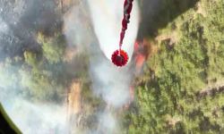 Helikopterden kaydedilen görüntü yangının boyutunu gözler önüne serdi