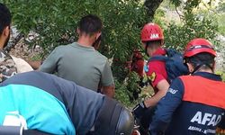 Ihlamur toplarken kayalıklardan düşen emekli polis hayatını kaybetti