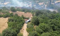 İnegöl’de orman yangını kontrol altına aldı, yangının çıkış nedeni ortaya çıktı