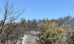 İzmir Aliağa yangını kontrol altında