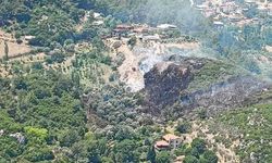 İzmir Kemalpaşa’da orman yangını